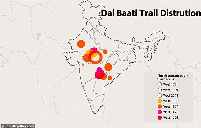 DalBaatiTrail - Player Distribution in India Map showing DalBaatiTrail player distribution across India with highest concentration in North and West India